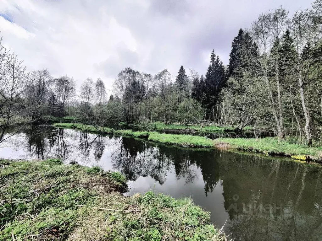 Участок, 12 сот., сельхоз (снт или днп) - Фото 1