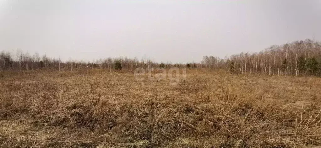 Участок в Новосибирская область, Мошковский район, Индия кп  (13.2 ... - Фото 1