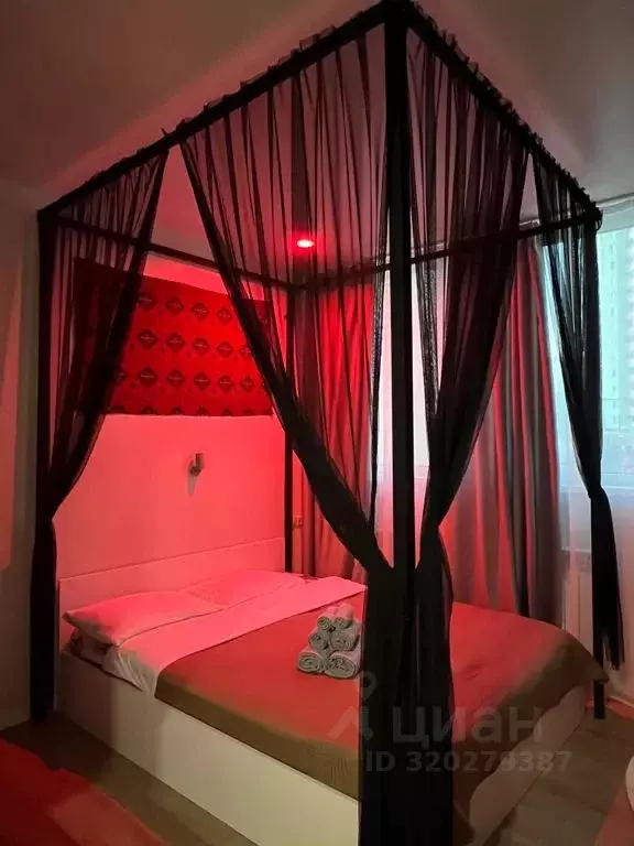 Студия Московская область, Люберцы городской округ, д. Островцы ул. ... - Фото 2