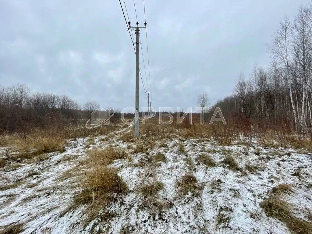 Участок в Тюменская область, Тюменский район, с. Горьковка  (6.0 сот.) - Фото 1