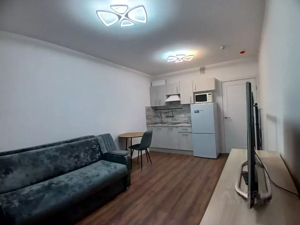 Студия Санкт-Петербург ул. Пейзажная, 30 (20.2 м) - Фото 0