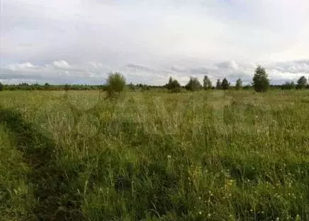 Участок 5,76 га (СНТ, ДНП) - Фото 1
