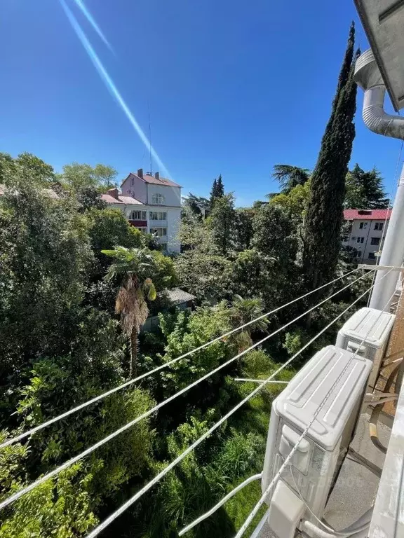 2-к кв. Краснодарский край, Сочи ул. Гагарина, 56 (28.5 м) - Фото 2