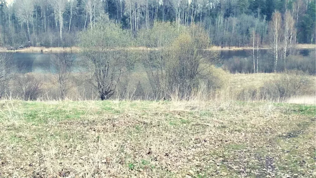 Участок в Новгородская область, Валдайский район, Яжелбицкое с/пос, д. ... - Фото 1