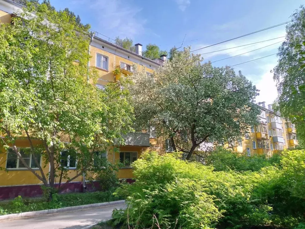3-к кв. Новосибирская область, Новосибирск Академгородок мкр, ул. ... - Фото 0