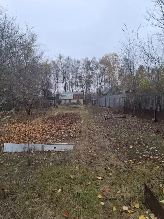 Участок в Самарская область, Волжский район, Черноречье с/пос, Надежда ... - Фото 2