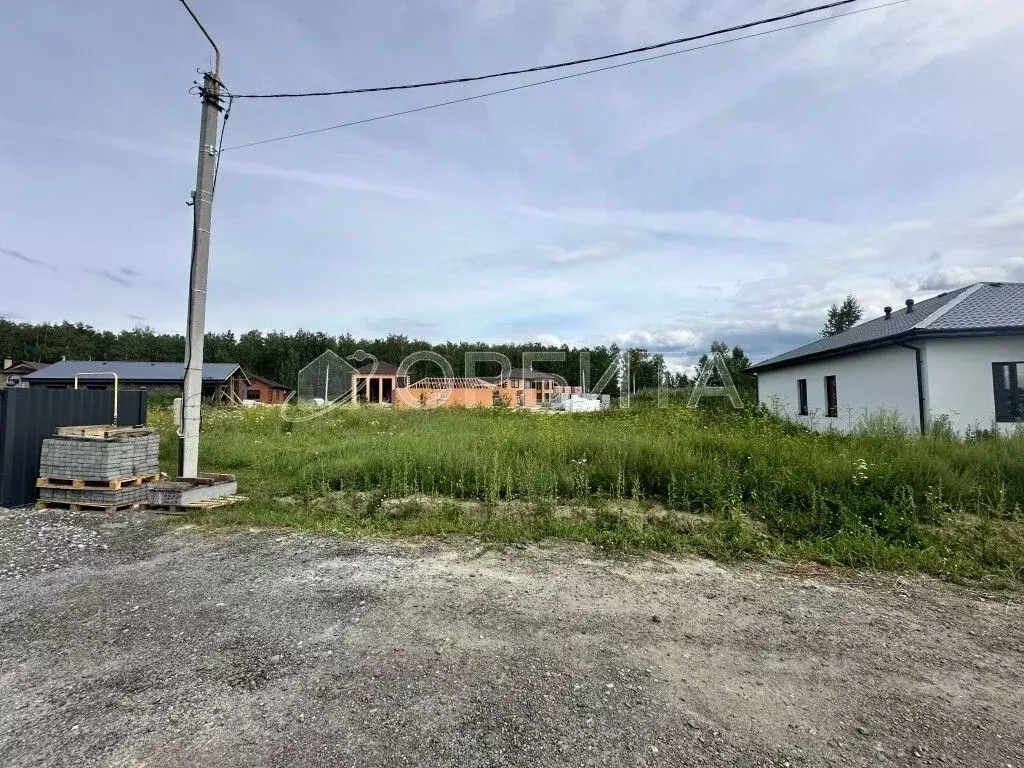 Участок в Тюменская область, Тюмень Звенящие Кедры Тюмени ДНП,  (12.0 ... - Фото 2