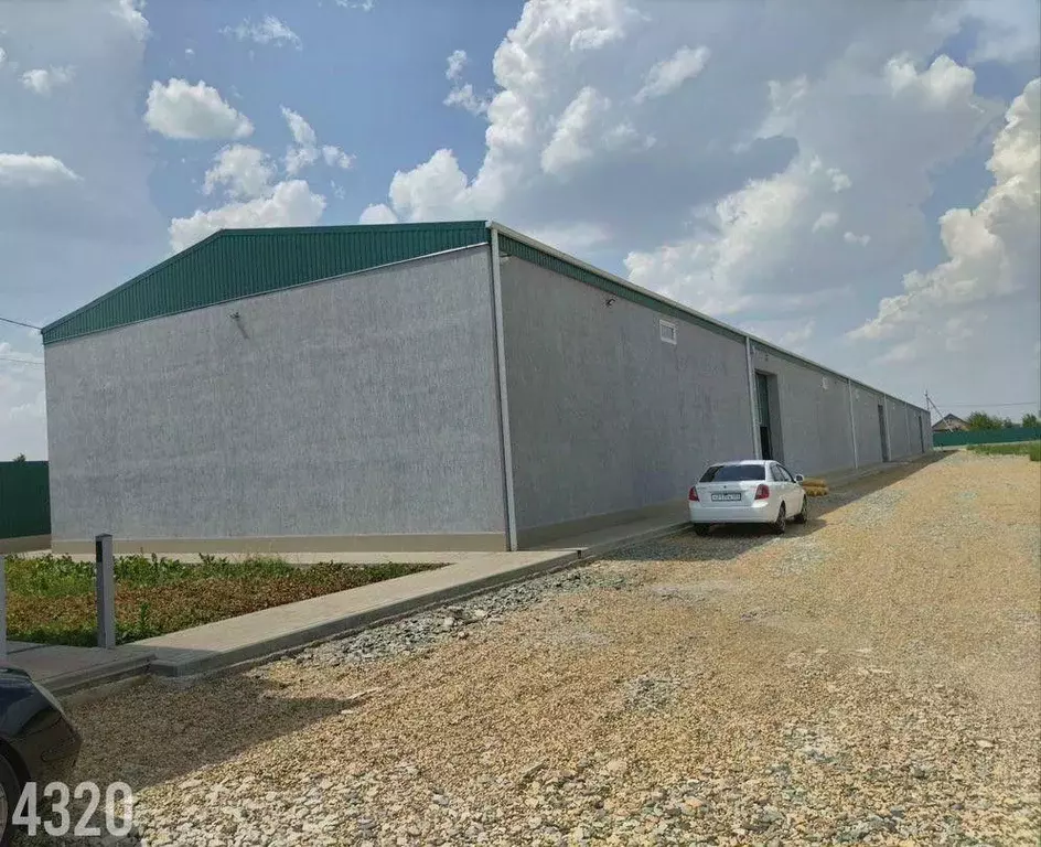 Склад в Краснодарский край, Краснодар пос. Березовый, ш. Ейское, 3/3 ... - Фото 2