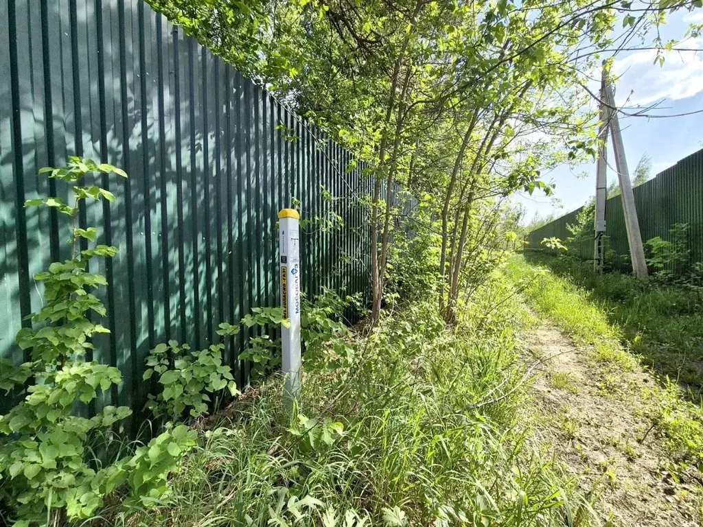 Участок в Московская область, Одинцовский городской округ, д. Аниково  ... - Фото 1