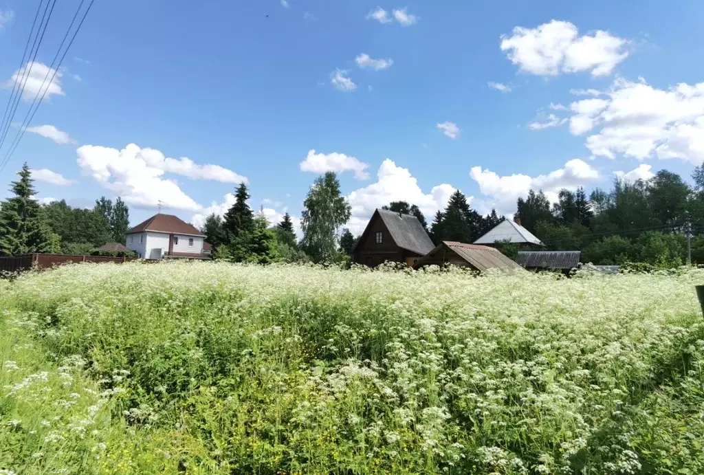 Участок в Московская область, Истра городской округ, Московский ... - Фото 1