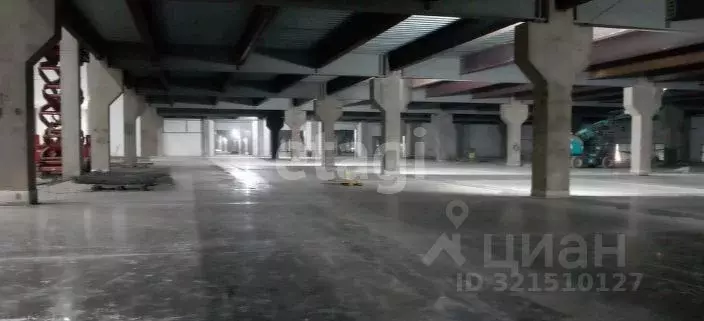 Склад в Оренбургская область, Оренбург Тихая ул., 30 (24909 м) - Фото 2