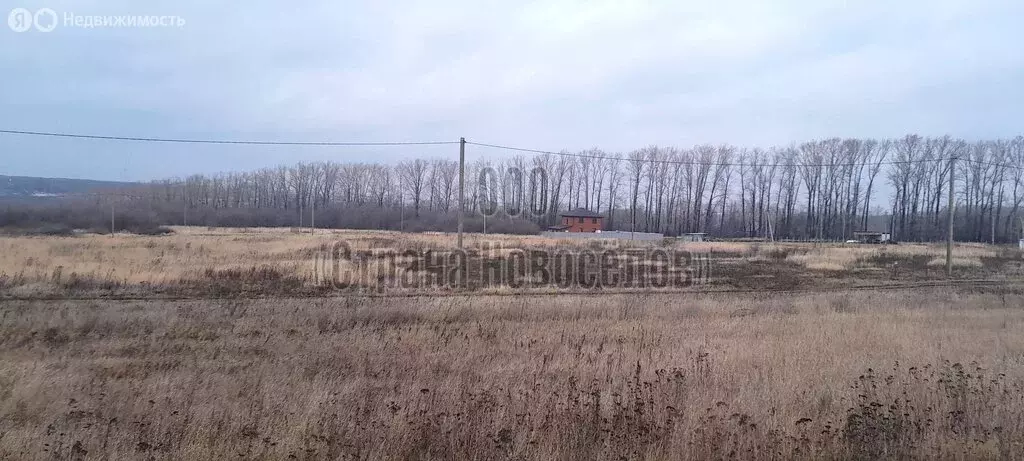 Участок в Республика Мордовия, Саранск (15 м) - Фото 1