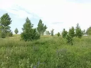 Участок в Тукаевский район, Новотроицкое сельское поселение, село ... - Фото 1
