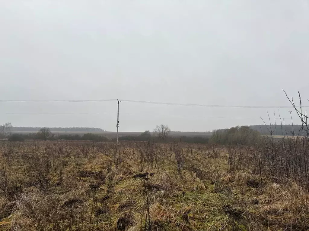 Участок в Московская область, Воскресенск  (10.69 сот.) - Фото 1