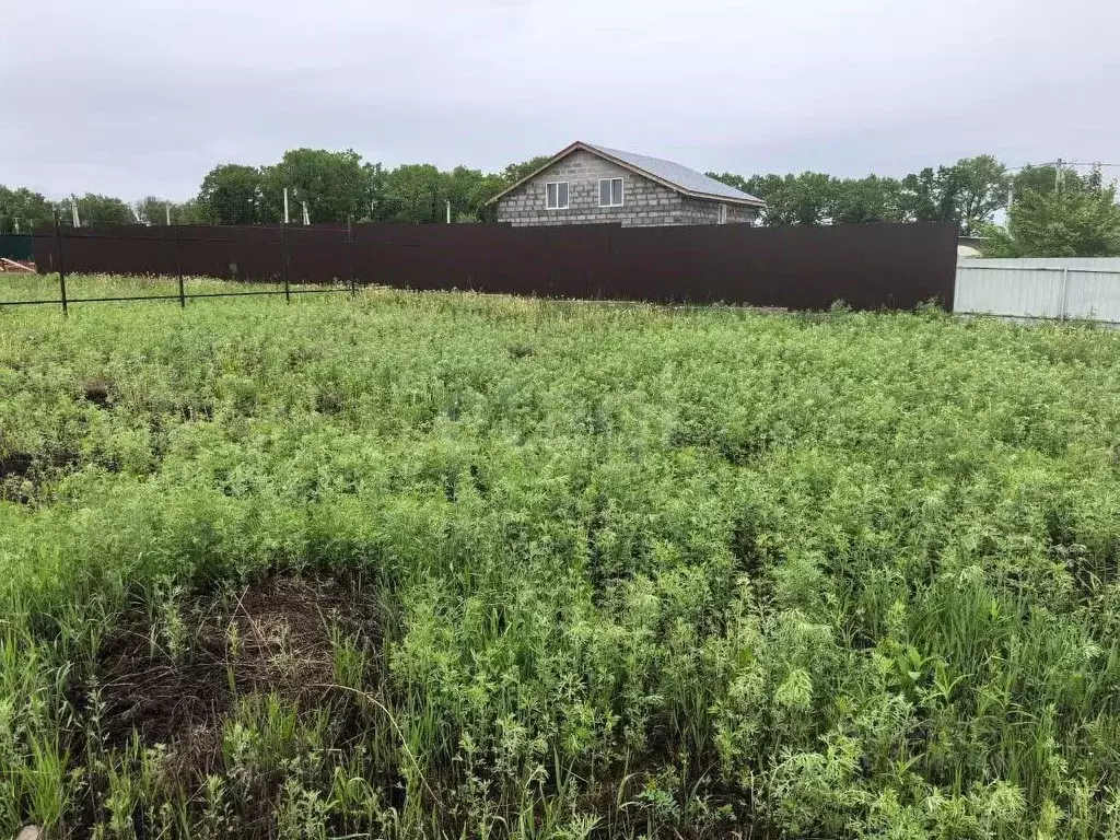 Участок в Амурская область, Благовещенский район, с. Кантон-Коммуна ... - Фото 1