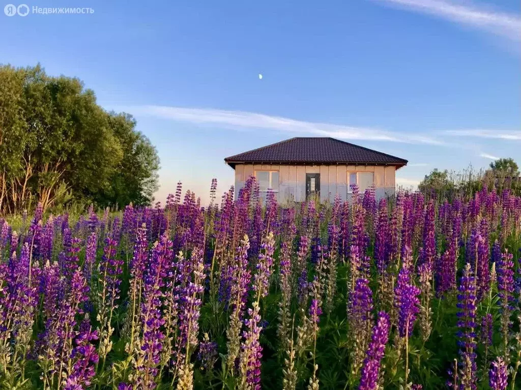 Дом в Лесколовское сельское поселение, ДНП Пять холмов (81.2 м) - Фото 1