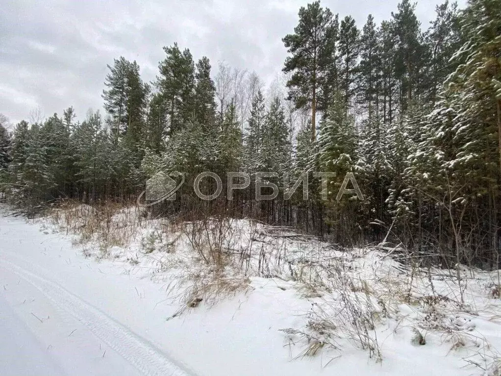 Участок в Тюменская область, Нижнетавдинский район, д. Штакульская  ... - Фото 1