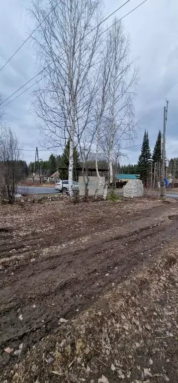 Участок в Карелия, Пряжинский район, Чалнинское с/пос, Падозерское СНТ ... - Фото 2