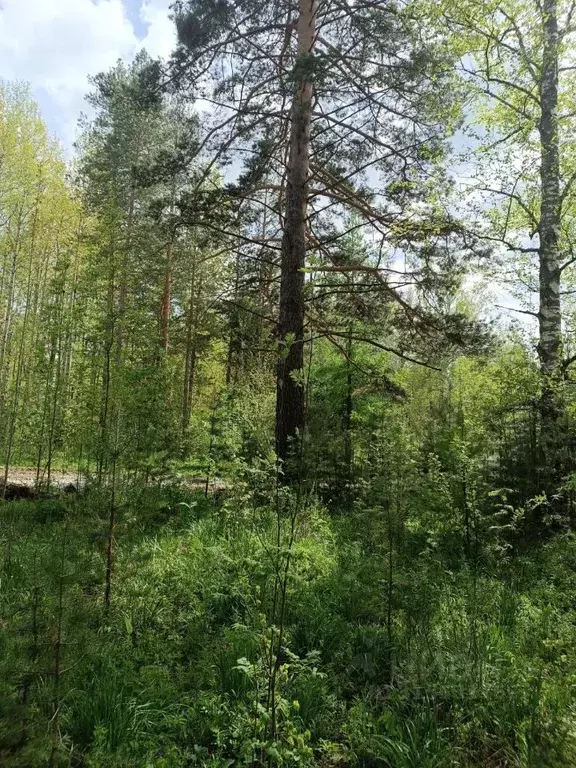 Участок в Свердловская область, Ревда муниципальный округ, пос. ... - Фото 0