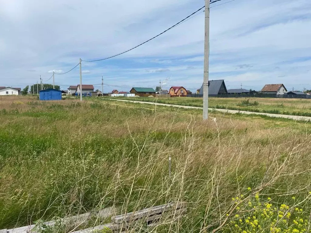 Участок в Новосибирская область, Новосибирский район, Толмачевский ... - Фото 0