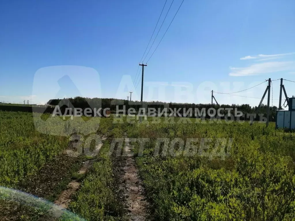 Участок в Тюменская область, Тюменский муниципальный округ, с. ... - Фото 2