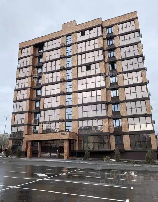 1-к кв. Волгоградская область, Волгоград ул. Чебышева, 38/1 (30.41 м) - Фото 1