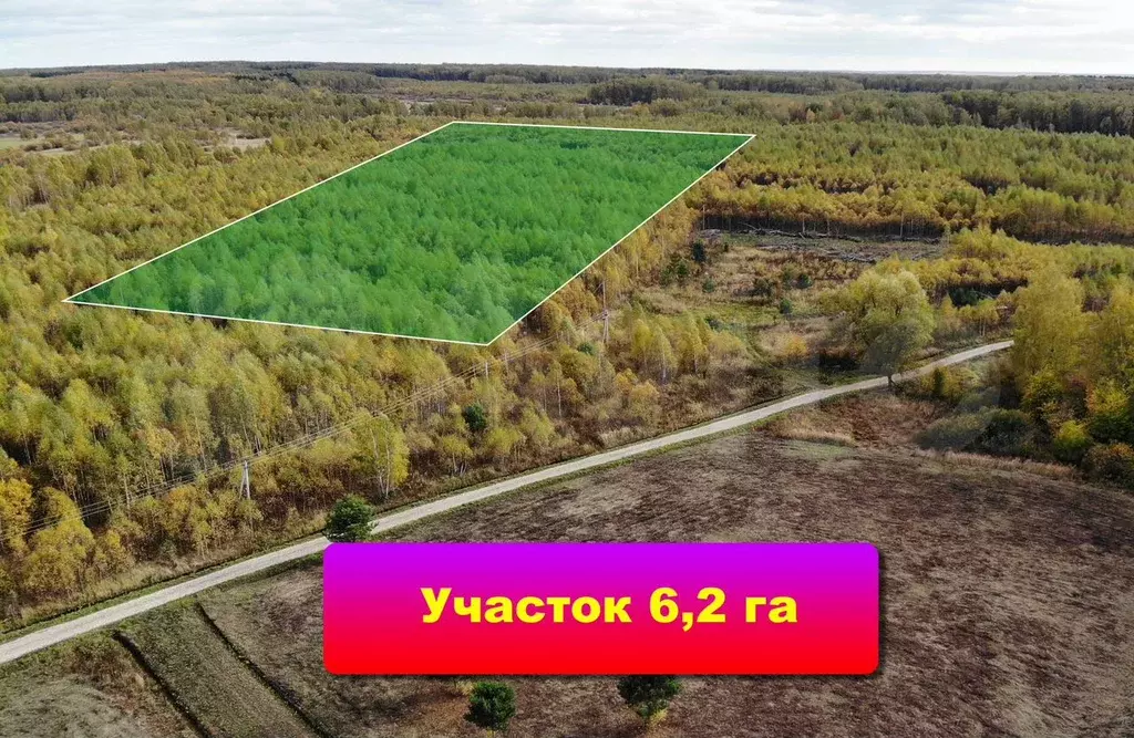 Участок 6,2 га (СНТ, ДНП) - Фото 0