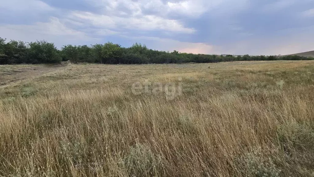 Участок в Крым, Белогорский район, с. Русаковка  (826.1 сот.) - Фото 0