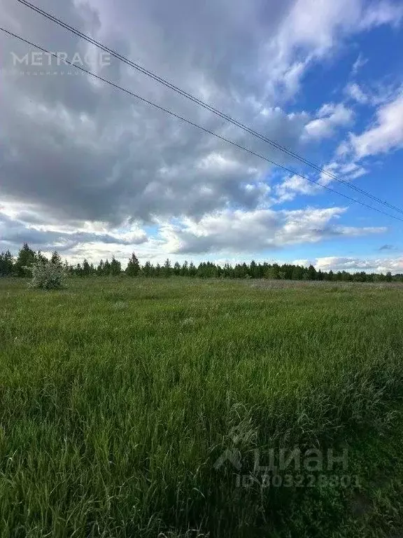 Участок в Новосибирская область, Новосибирский район, Морской ... - Фото 1