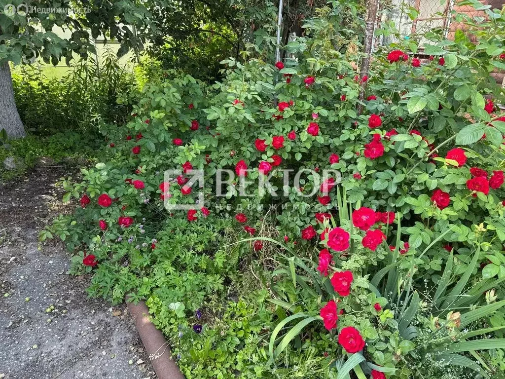 Дом в Иваново, 5-я Завокзальная улица, 51 (110 м) - Фото 2