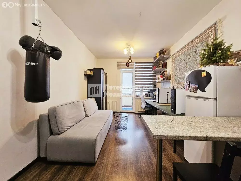 Квартира-студия: Санкт-Петербург, проспект Ветеранов, 173к7 (25 м) - Фото 2
