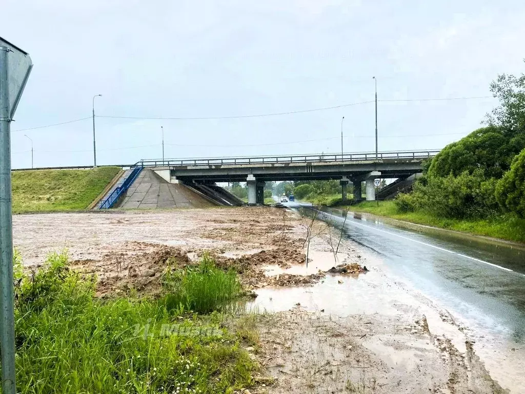 Участок в Новгородская область, Новгородский район, Трубичинское ... - Фото 1