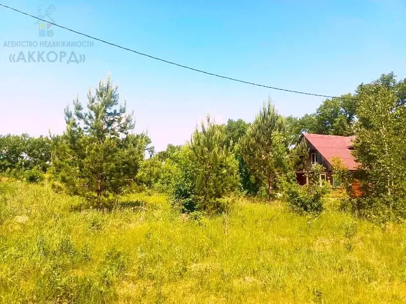 Участок в Алтайский край, Барнаул городской округ, пос. Бельмесево ул. ... - Фото 1