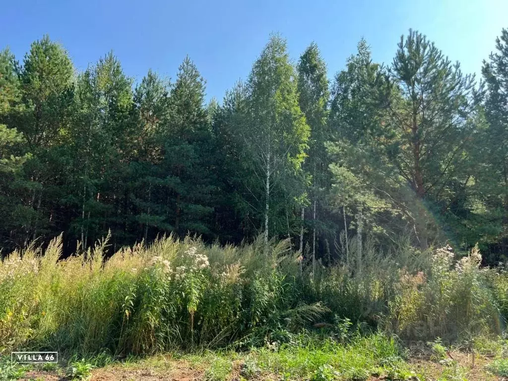 Участок в Свердловская область, Сысертский муниципальный округ, пос. ... - Фото 1