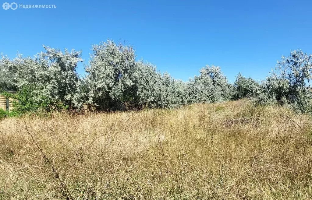 Участок в Новоотрадное, Молодёжная улица, 12 (12.6 м) - Фото 2