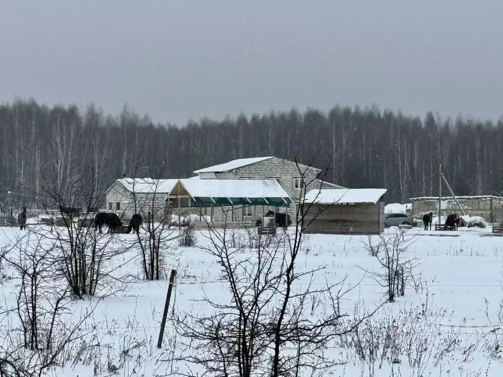 Участок в Тульская область, Веневский муниципальный округ, с. ... - Фото 1