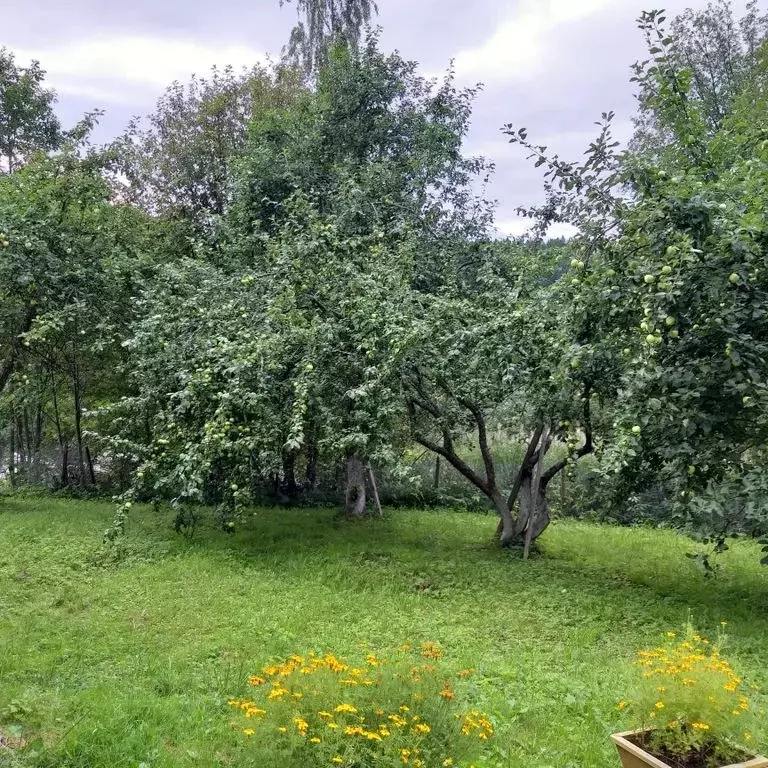 Дом в Карелия, Сортавальский муниципальный округ, пос. Вуорио  (80 м) - Фото 2