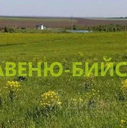 Участок в Алтайский край, Белокуриха ул. Нижняя, 11 (15.66 сот.) - Фото 1