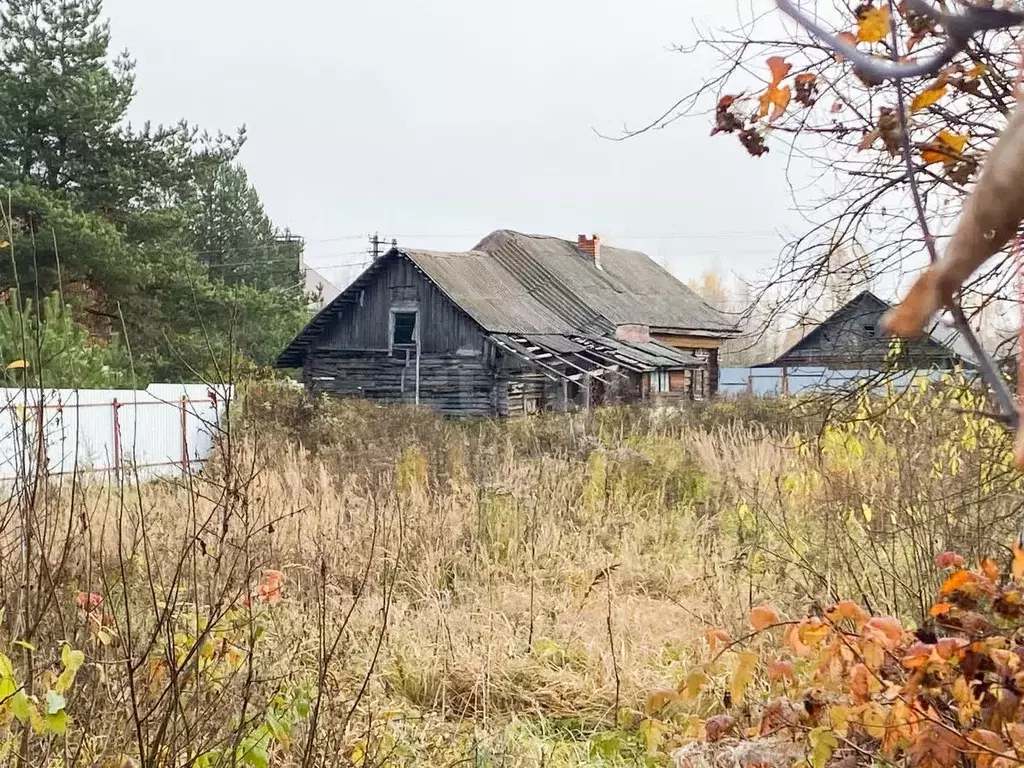 Участок в Ярославская область, Рыбинский муниципальный округ, д. ... - Фото 1