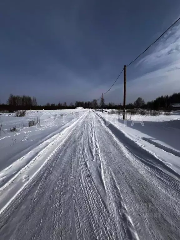 Участок в Тюменская область, Тюмень Яровское садовое товарищество, ул. ... - Фото 1