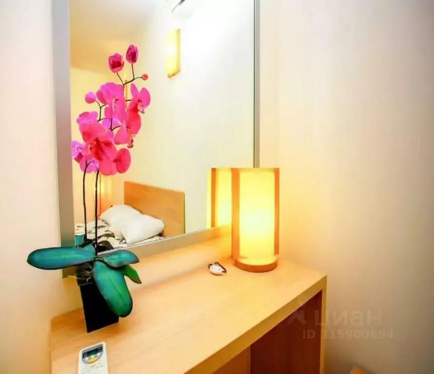 Комната Краснодарский край, Анапа муниципальный округ, с. Витязево ул. ... - Фото 2