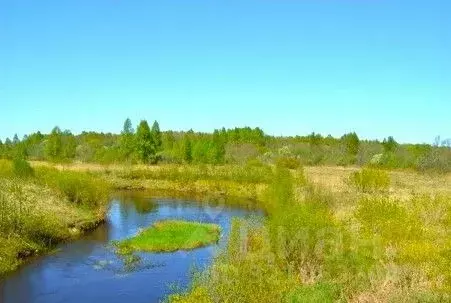 Участок в Тверская область, Калининский муниципальный округ, д. ... - Фото 1