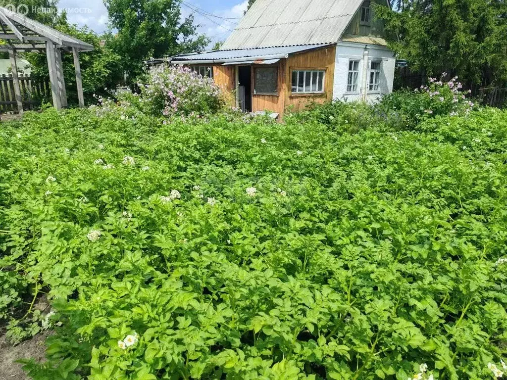 Дом в Курган, СНТ Авторемонтник-1 (20 м) - Фото 2