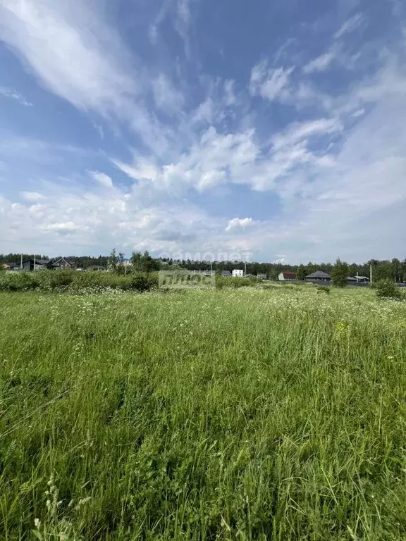 Участок в Московская область, Дмитровский муниципальный округ, д. ... - Фото 1