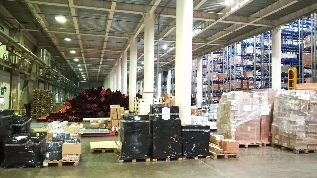 Склад в Московская область, Видное Северная промзона, 4 (11500 м) - Фото 1