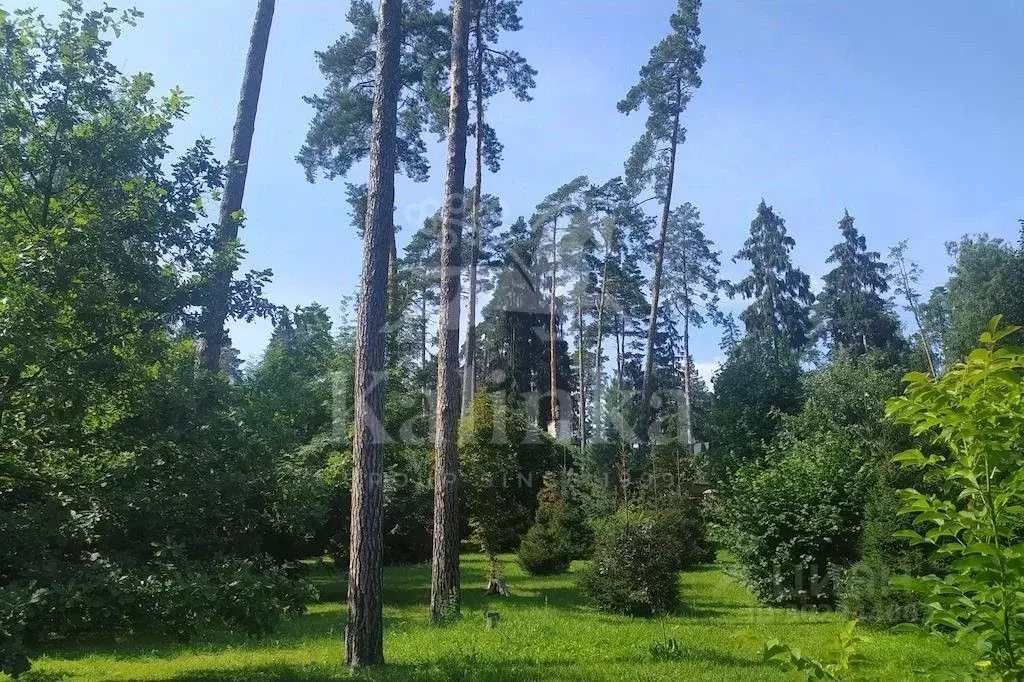 Участок в Московская область, Одинцовский городской округ, пос. ... - Фото 1