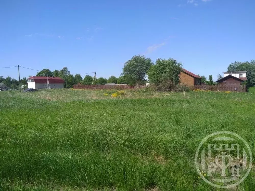 Участок в Ленинградская область, Ломоносовский район, Лопухинское ... - Фото 1