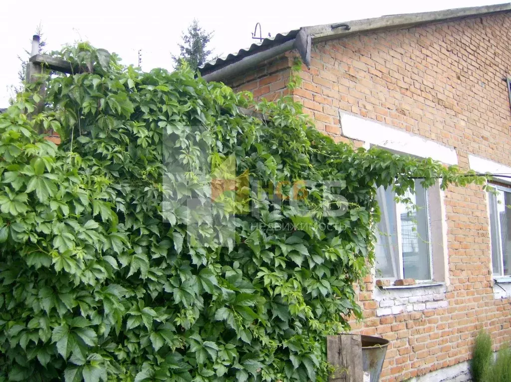 Дом в Омская область, Саргатский район, д. Преображеновка Молодежная ... - Фото 2