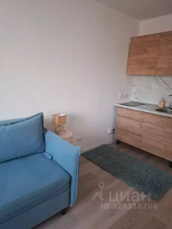 1-к кв. Санкт-Петербург ул. Пахомовская, 14к2 (21.0 м) - Фото 2