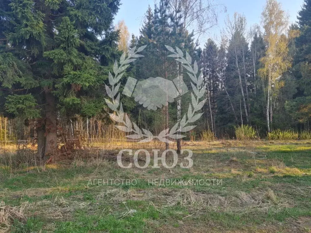 Участок в Калужская область, Калуга Секиотовская ул. (7.0 сот.) - Фото 2